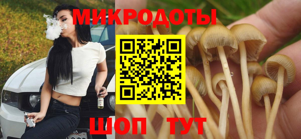 Псилоцибиновые грибы Magic Shrooms Новосибирск