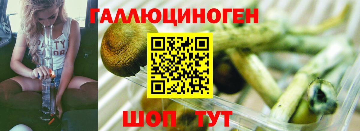 наркошоп  Псилоцибиновые грибы Cubensis  Вход с VPN  Новосибирск 